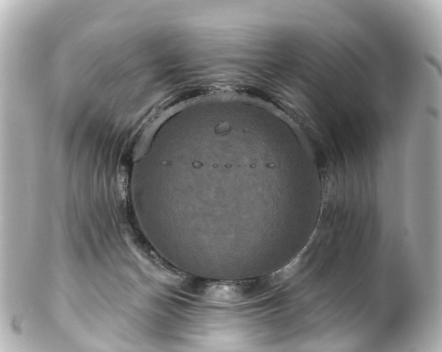 X0000100920174200807011315