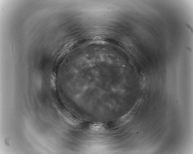 X0000100920175200807011315