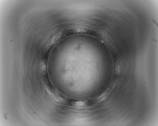 X0000100920176200807011315