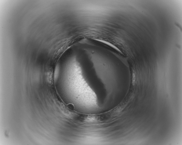 X0000100920177200807011315