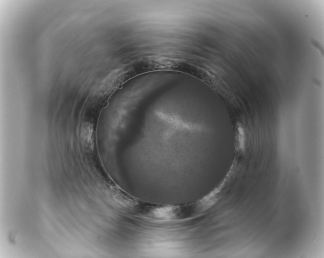 X0000100920178200807011315