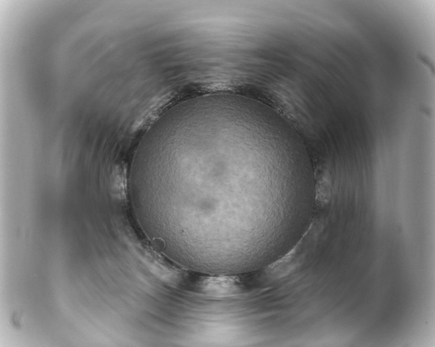 X0000100920179200807011315