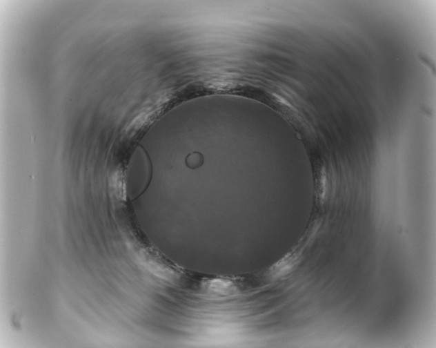 X0000100920180200807011315