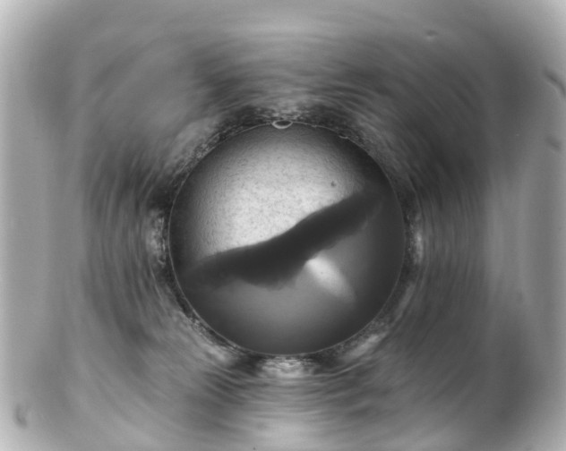 X0000100920181200807011315