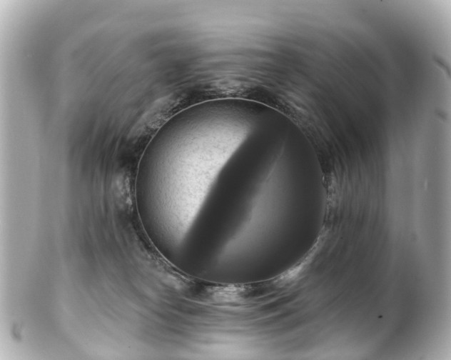 X0000100920182200807011315