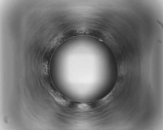 X0000100920183200807011315