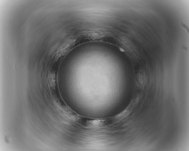 X0000100920184200807011315