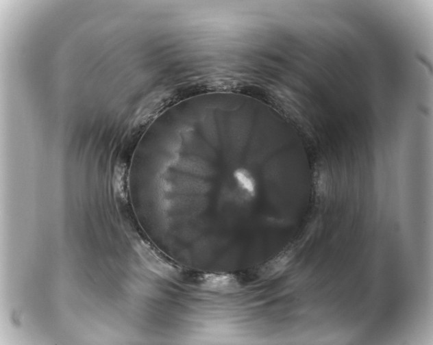 X0000100920185200807011315