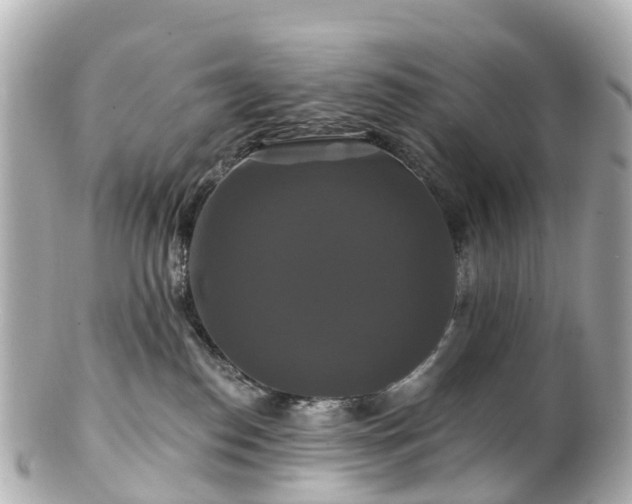 X0000100920186200807011315