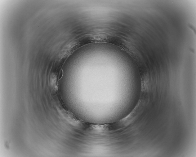 X0000100920187200807011315