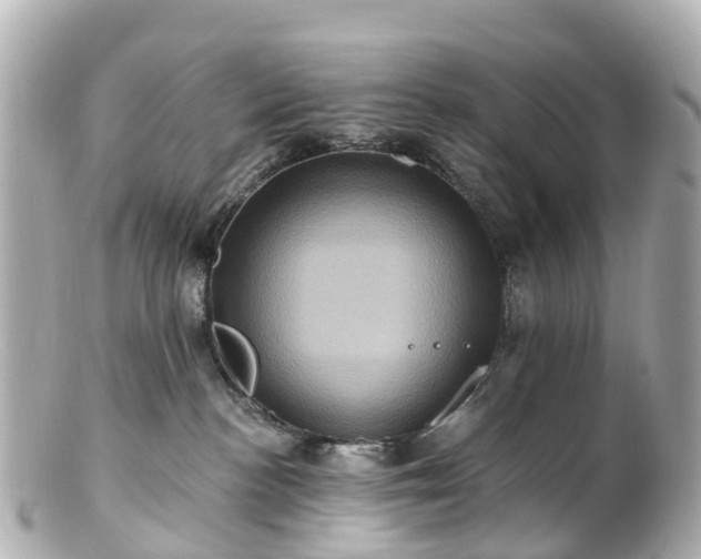 X0000100920188200807011315