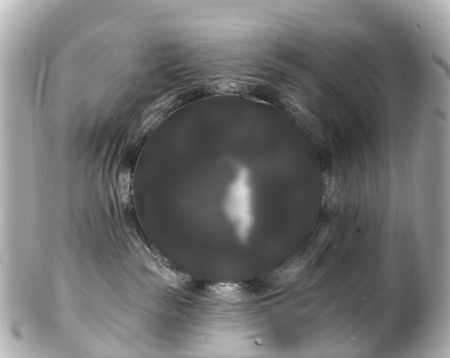 X0000100920189200807011315