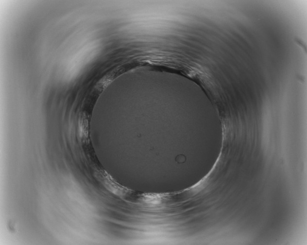 X0000100920190200807011315