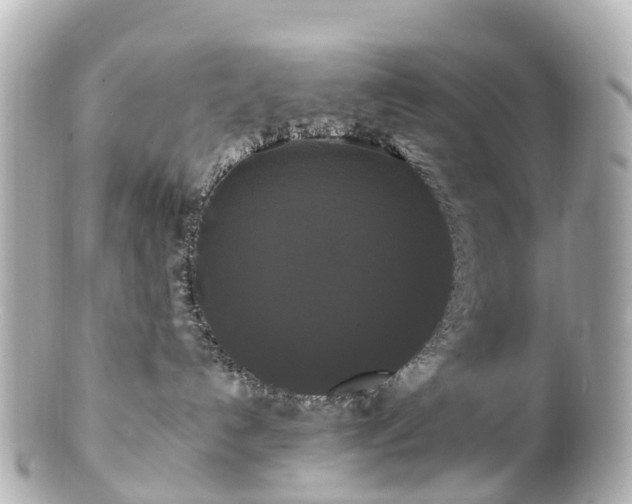 X0000100920192200807011315