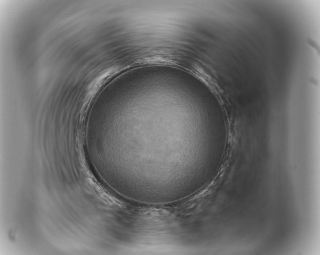 X0000100920193200807011314