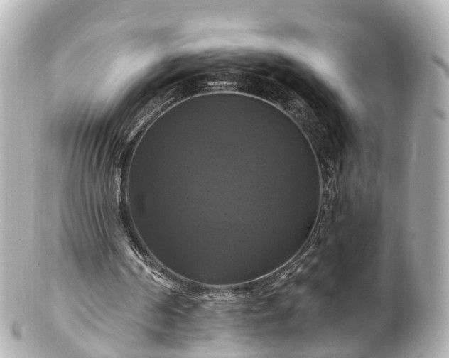 X0000100920194200807011314