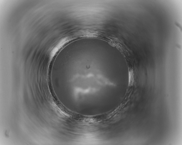 X0000100920195200807011314