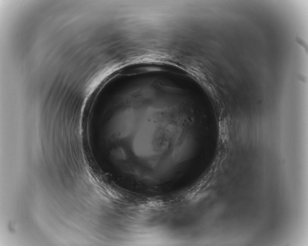 X0000100920196200807011314