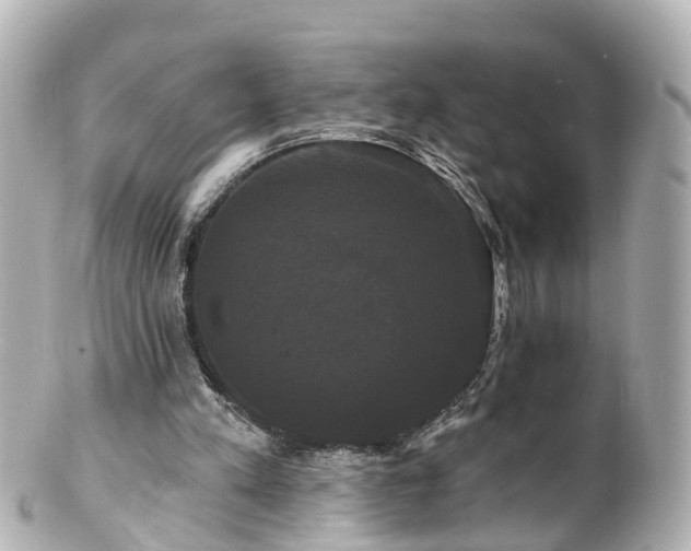 X0000100920197200807011314