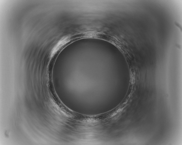 X0000100920198200807011314