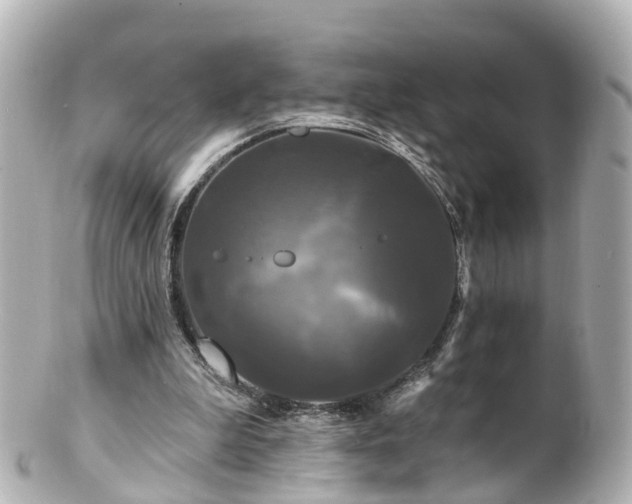 X0000100920199200807011314