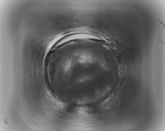 X0000100920200200807011314