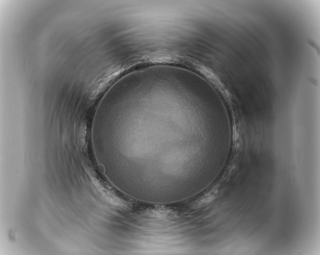 X0000100920201200807011314