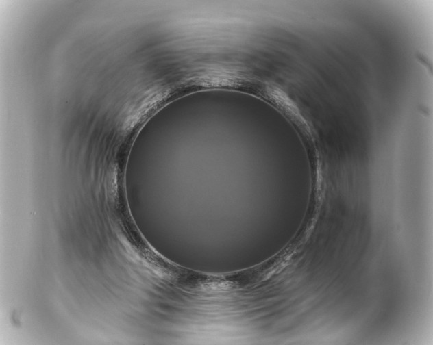 X0000100920202200807011314