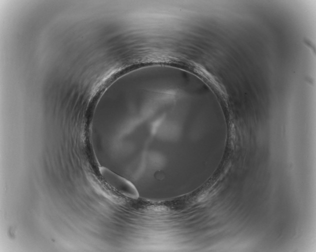 X0000100920203200807011314