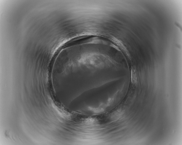 X0000100920204200807011314