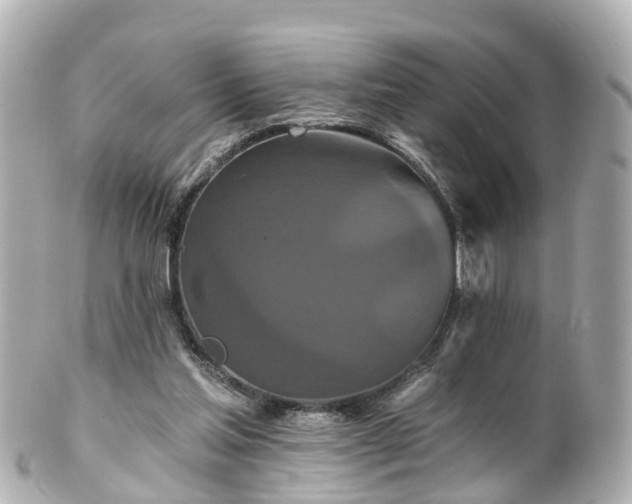 X0000100920205200807011314