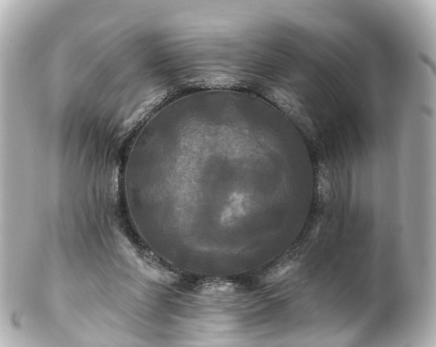 X0000100920206200807011314