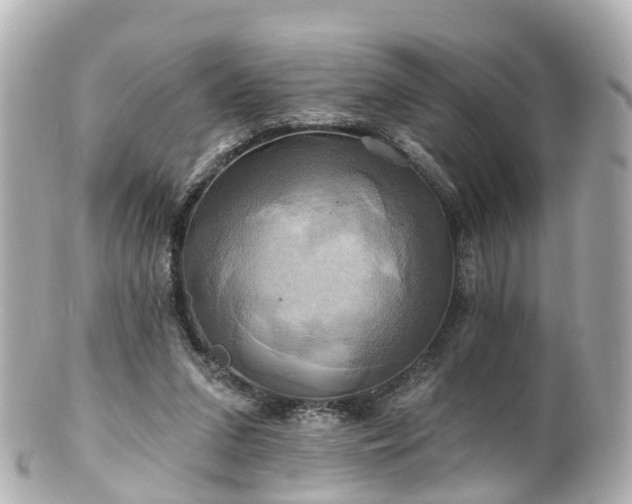 X0000100920207200807011314