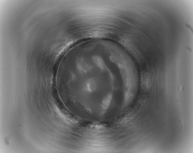 X0000100920208200807011314