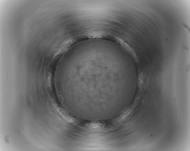 X0000100920209200807011314