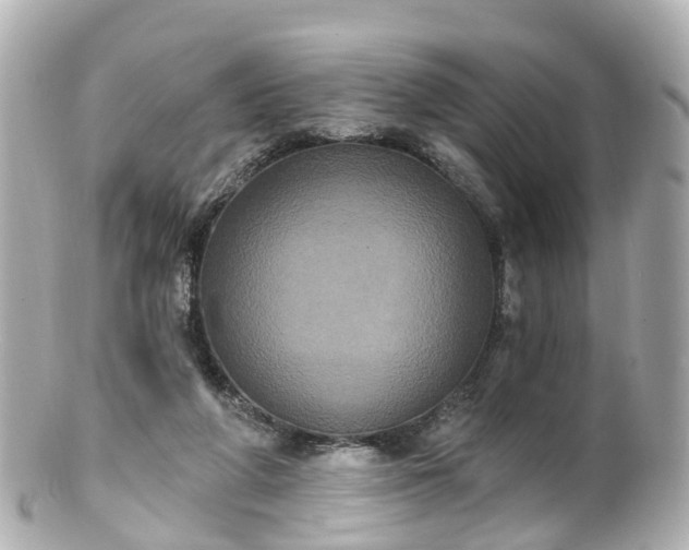 X0000100920210200807011314