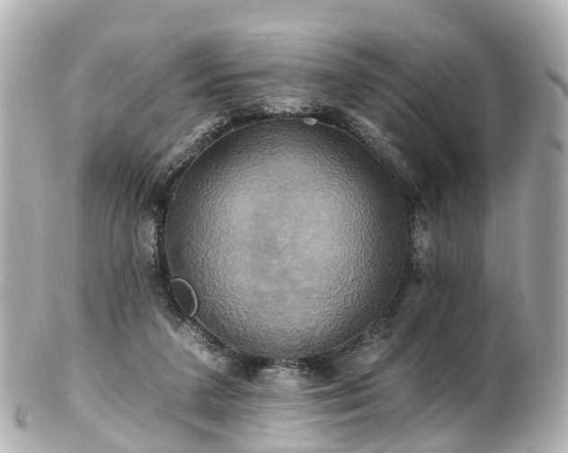 X0000100920211200807011314