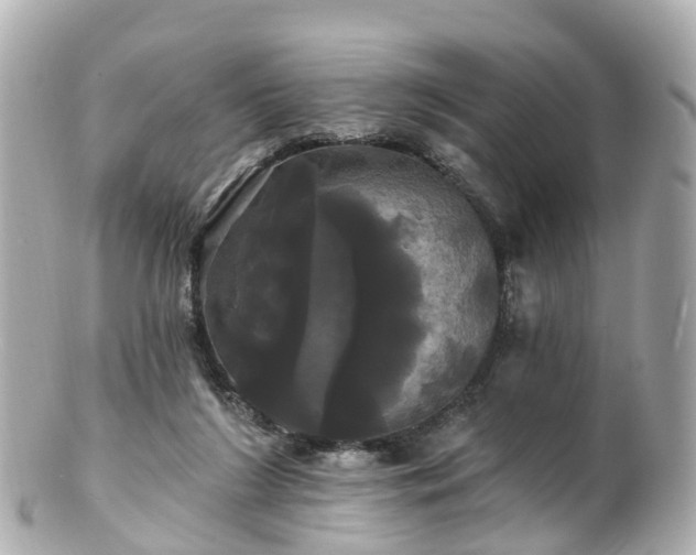 X0000100920212200807011314