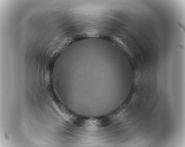 X0000100920213200807011314