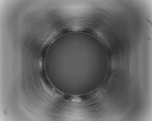 X0000100920214200807011314