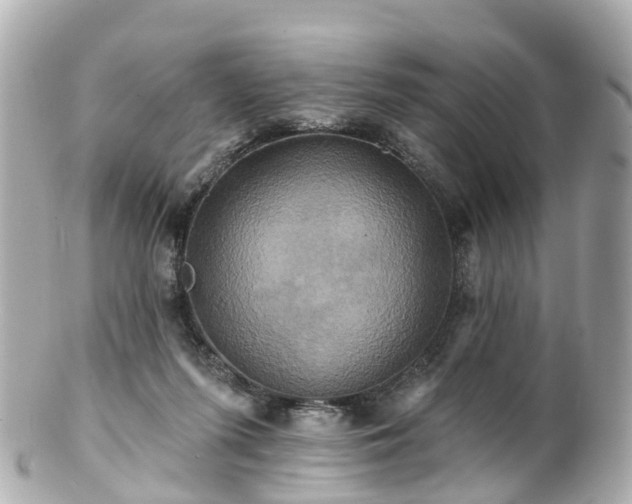 X0000100920215200807011314