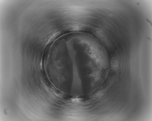 X0000100920216200807011314