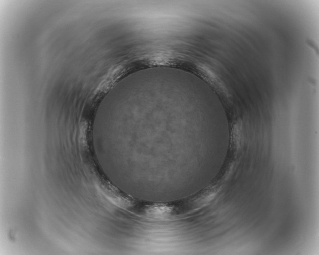 X0000100920217200807011314