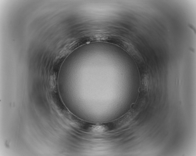 X0000100920218200807011314