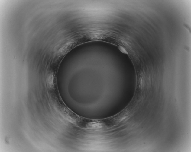 X0000100920219200807011314