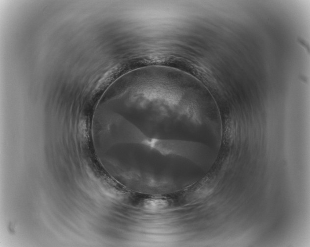 X0000100920220200807011314