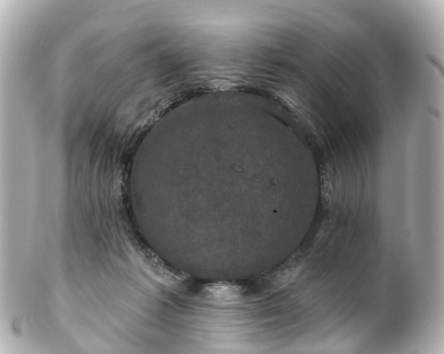 X0000100920221200807011314