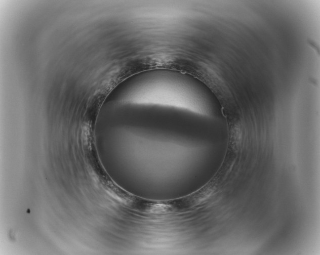 X0000100920222200807011314