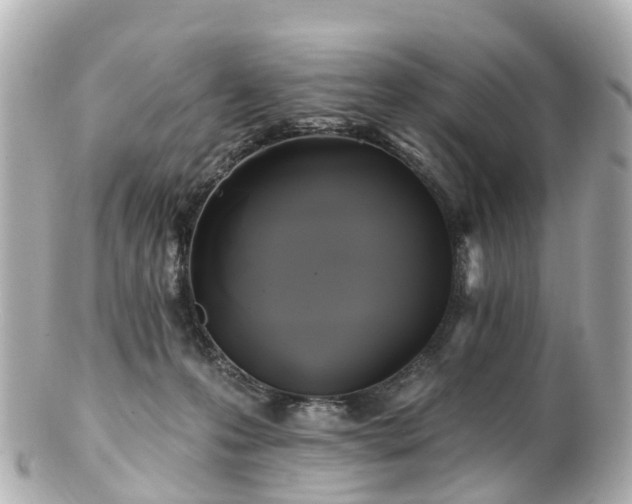 X0000100920223200807011314