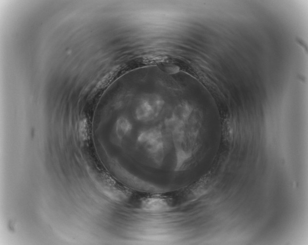 X0000100920224200807011314